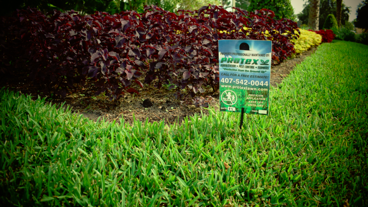 Lawn Care Oviedo Tips Protex Lawn And Pest Control