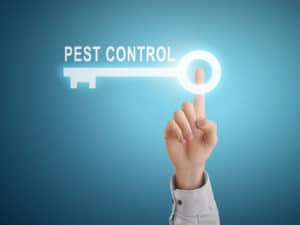 Pest Control Company Orlando