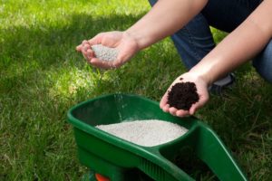 Fertilizer Services Orlando