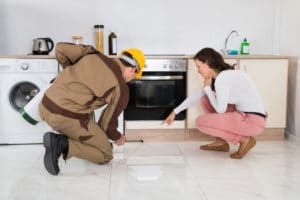 Hire Pest Control Company in Orlando