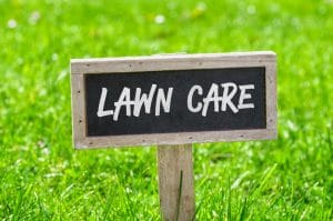 Lawn Maintenance in Orlando