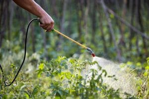 Pest Control Company in Oviedo