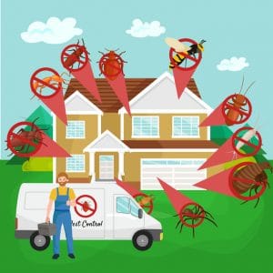 Find the Best Pest Control Company in Orlando