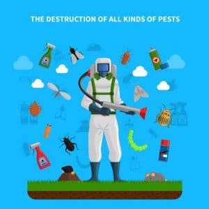 Home Pest Control in Orlando