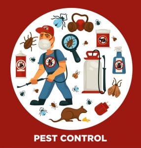 Why Hire Exterminator in Orlando?