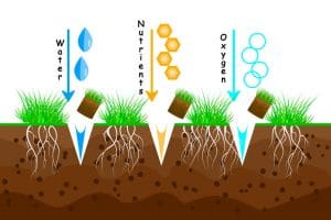 Lawn Fertilizer Companies in Orlando FL