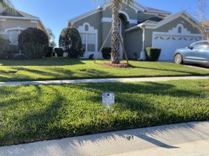 How to take care of lawn, landscape in Orlando, FL?