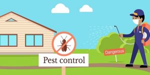 5 reasons why you need a exterminator in Orlando