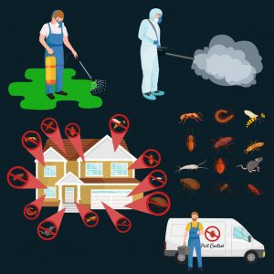 Pest Exterminators – Pest Control Services Orlando