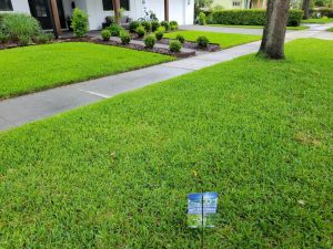 5 Types of Pest Control Methods – Orlando