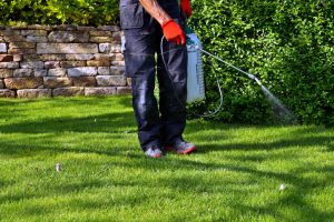 5 Pest Control Orlando Services You Need