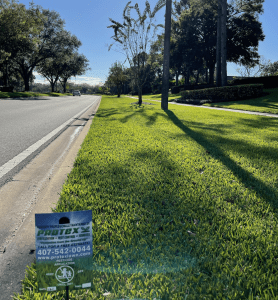 Which Pesticides to Use for Pest Control in Orlando?