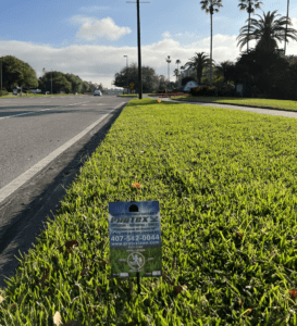 Sod in Orlando