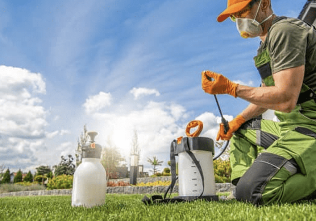 5 Tips for the Best Lawn in Orlando Protex Lawn and Pest Control