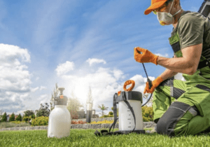 Best pest control company in Orlando FL