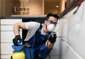 5 Reasons to Hire Exterminator in Orlando 