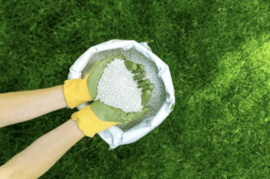 Lawn Fertilizer Companies in Orlando FL