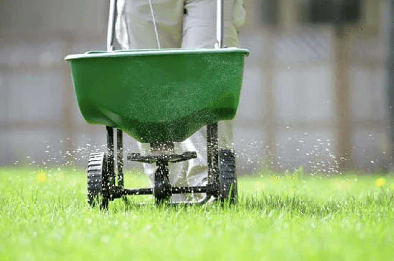 lawn fertilizer