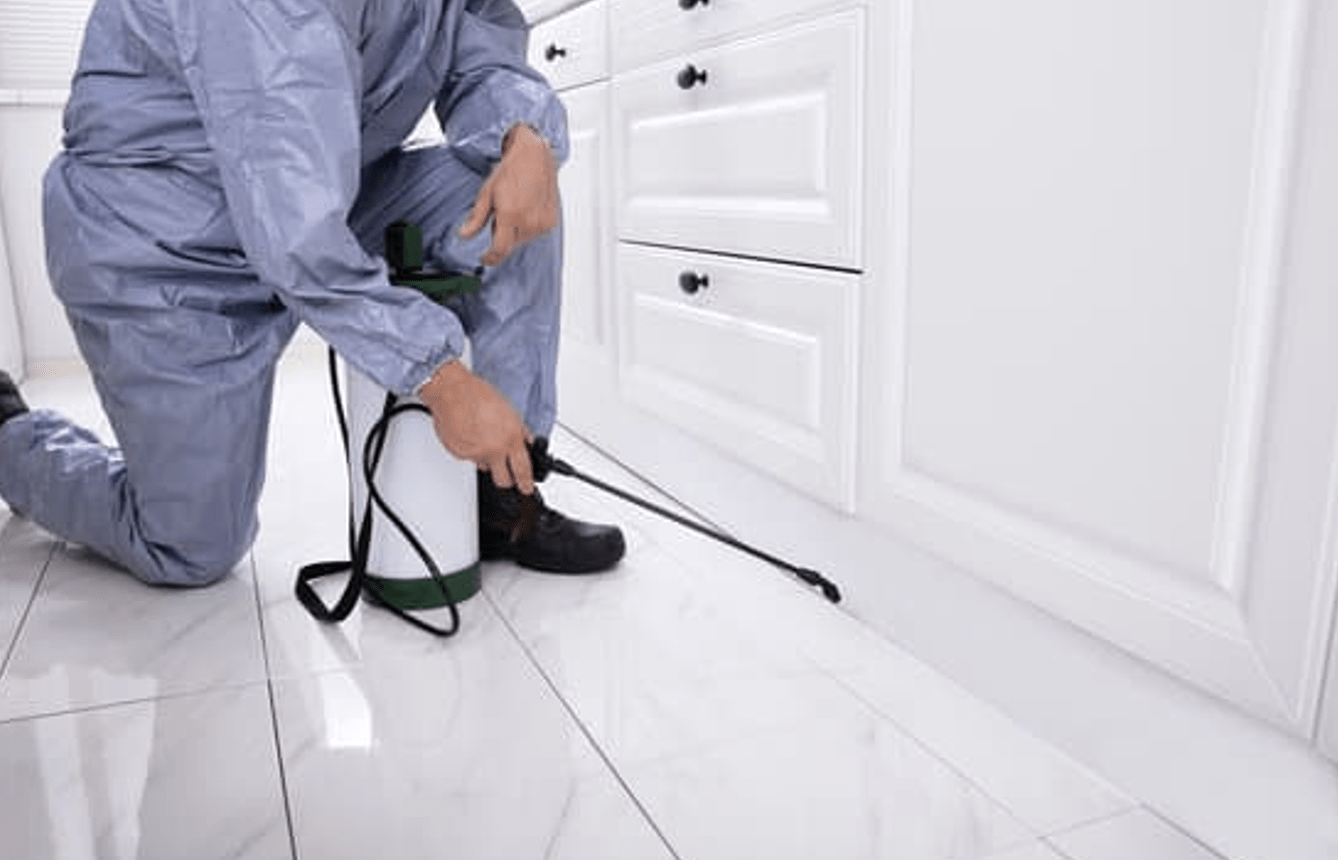 pest control for home owners