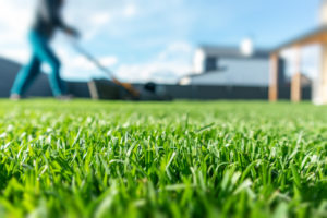 5 Reasons for Lawn Fertilizer Companies