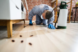 Why Hire Orlando Pest Control Professional Company?