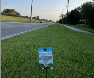 Running from Bugs or Running for Fun? Celebrate Global Running Day with Pest Control and Exterminators in Oviedo