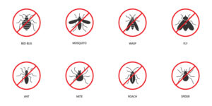 Effective Pest Control Services in Oviedo: Keep Your Home Pest-Free