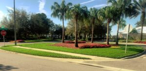 Pest Control Oviedo, FL: Keeping Your Home and Lawn Pest-Free