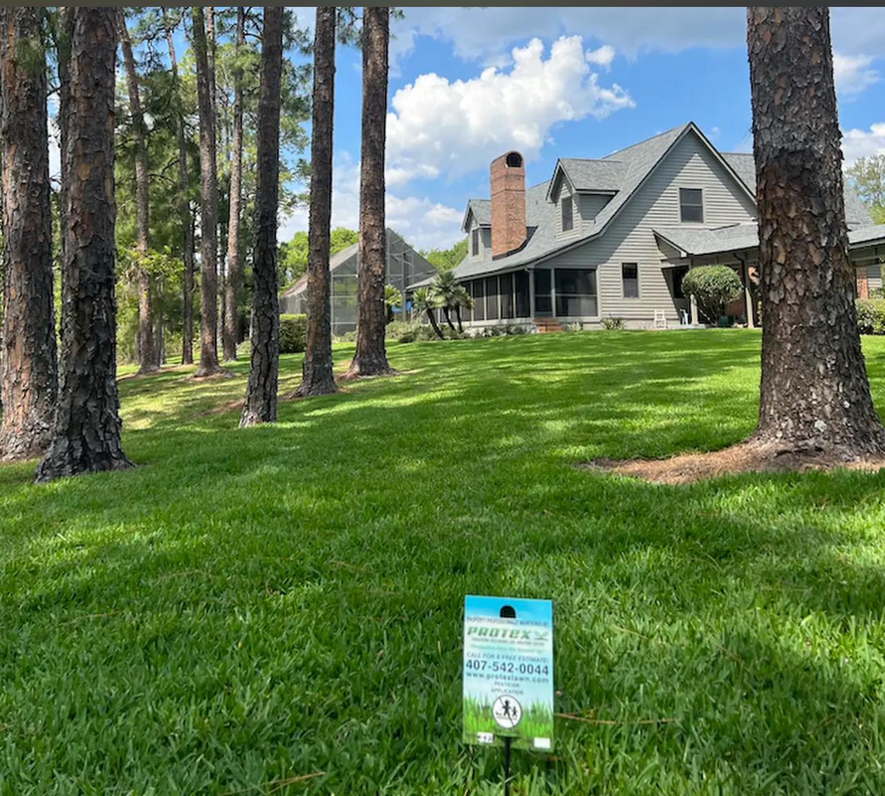 A well-maintained, lush green lawn with tall pine trees and a charming suburban house in the background. A Protex Lawn and Pest Control sign is placed in the foreground, indicating recent lawn treatment. The sky is bright blue with scattered clouds, creating a picturesque outdoor scene.