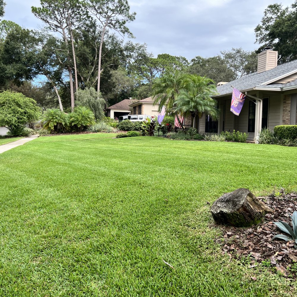 The Ultimate Lawn Care Guide for Homeowners in Zellwood, FL