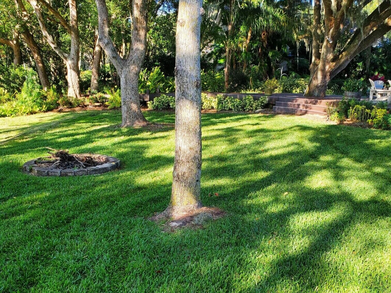 The Best Time to Fertilize Your Lawn in Seminole County