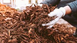 Mulch in stanford florida.