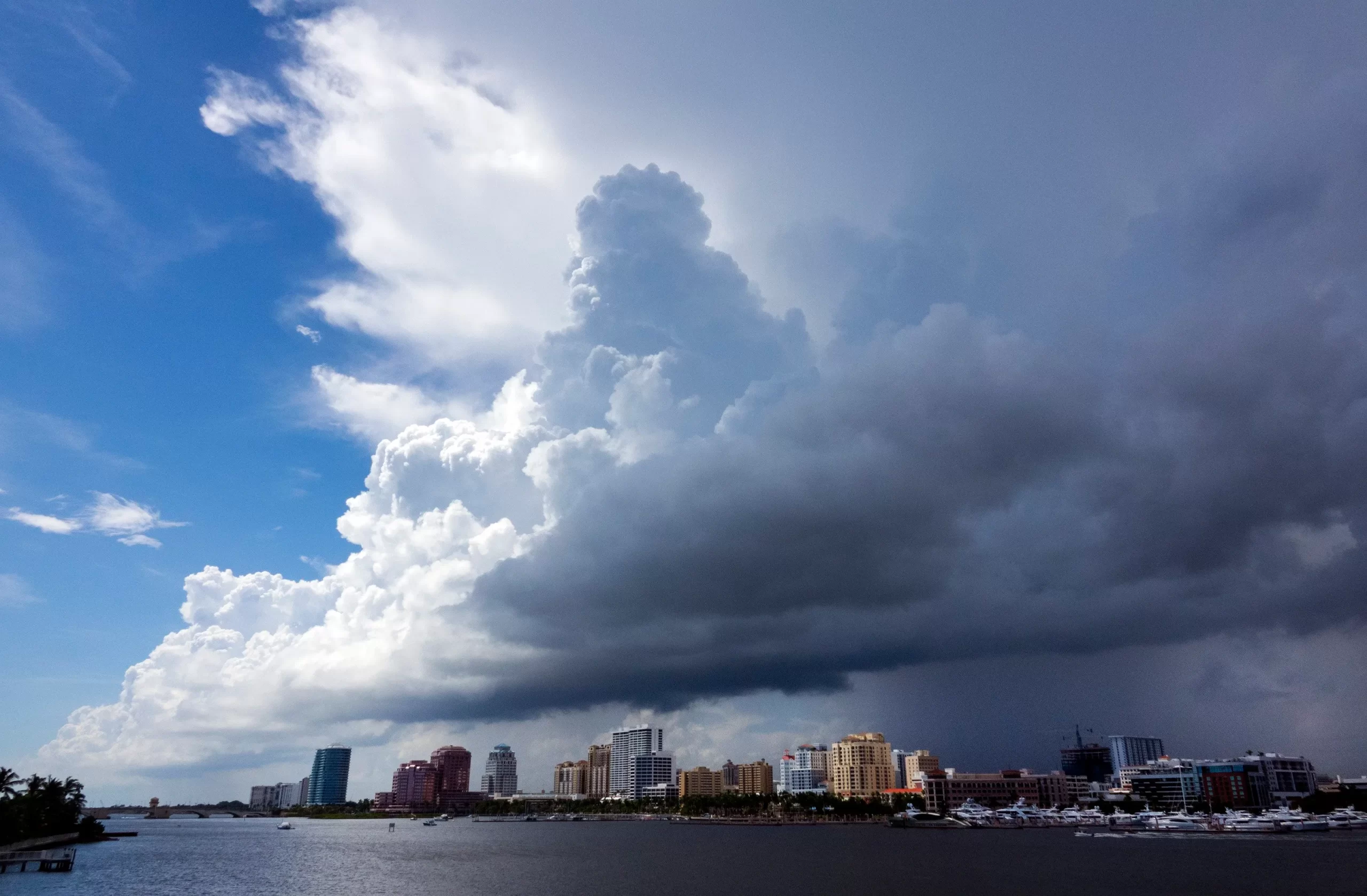 How to Prevent Lawn Disease During Florida’s Rainy Season