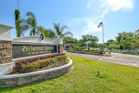 Best Landscaping Ideas for Homes in Zellwood, FL